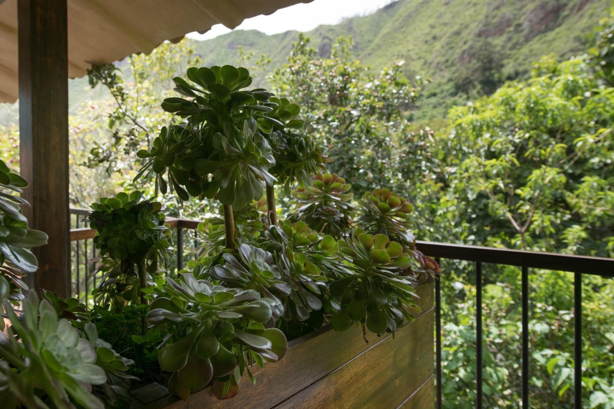 Andenia Boutique Hotel, Sacred Valley Urubamba Exterior foto